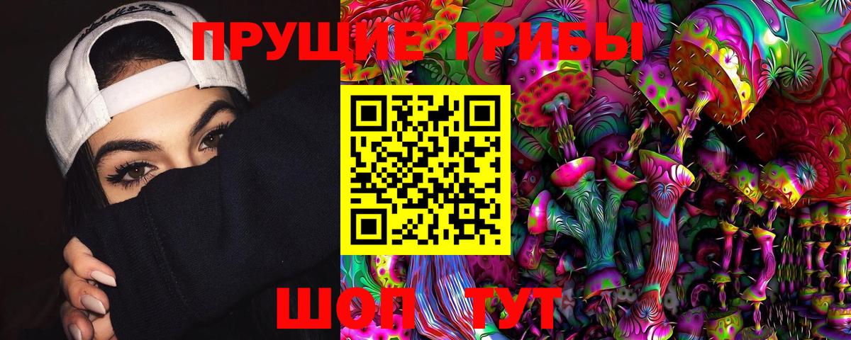 Артём  Псилоцибиновые грибы прущие грибы  даркнет сайт  Галлюциногенные грибы Psilocybe  Вход с VPN 