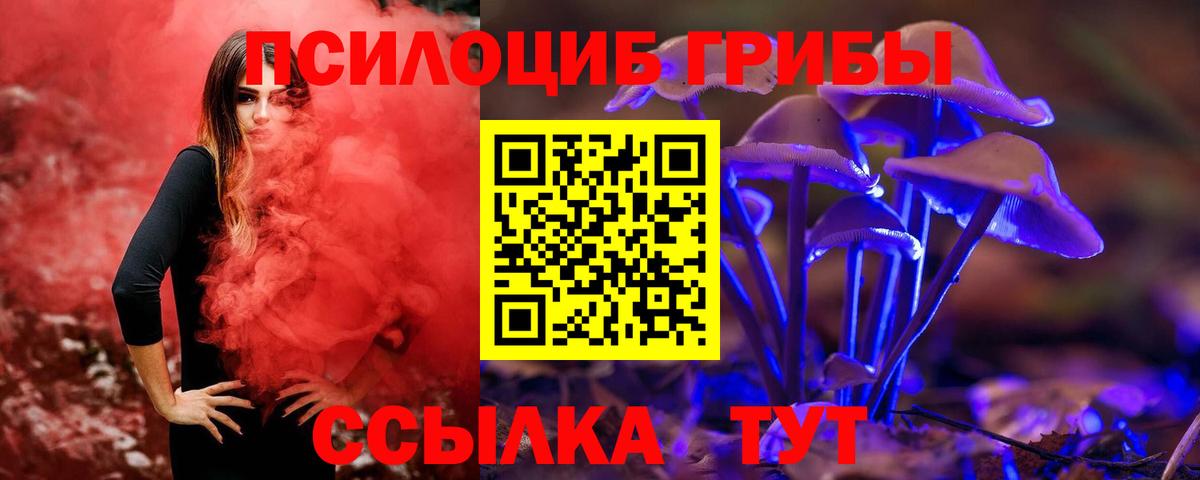 Псилоцибиновые грибы Psilocybe Артём